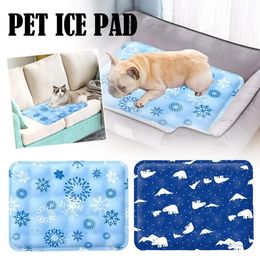 PAD SUMME COFFRIMMING MATE COLD MATTEN CHATTEN PET PET MATE DE SILICE BESSIBRANT PETTE GRAND DOG MAT PET DIVRATION DES PAT