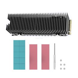 Tampons à poussière de thermacée m2 nvme ngff M.2 2280 ssd refroidisseur en aluminium Radiateur de conductivité thermique pour conductivité en silicone refroidisseur