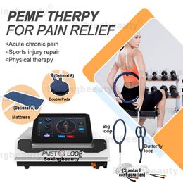 Alivio del dolor Dispositivo de terapia magnética Pemf PMST LOOP PRO MAX Máquina PEMF de fisioterapia de campo electromagnético de pulso para humanos y caballos para rehabilitación