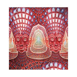 Peintures Alex Gray Pyschedelic Trippy Art Silk Print Poster 24x36 pouces 60x90cm 01834245297 Drop Delivery Home Garden Arts Crafts Dhtai