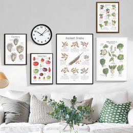 Schilderijen Beets Brassica Oleracea Oesters Tomaten Prints Botanische Poster Keuken Gids Wall Art Pictures Canvas Schilderij Decoratie 230625