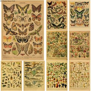 Peintures Papillon Insecte Fleur Champignon Affiche Botanique Éducatif Kraft Papier DIY Vintage Maison Chambre Bar Café Décor Art Peinture Murale 230928