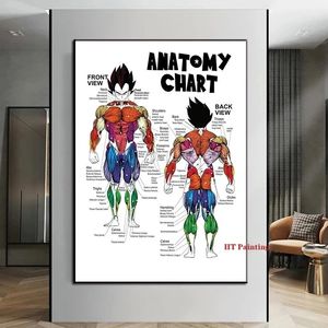 Schilderijen Human Anatomy Muscle System Chart Anime Fitness canvas schilderen Wall Art Pictures Medical Education Home Clinic School Decor Woo