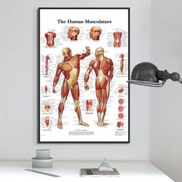 Schilderijen menselijke anatomie spieren systeem kunst canvas posters en print body map muur foto's voor science slaapkamer decorPaintings Paintingsspaint