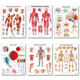 Schilderijen Menselijke Anatomie Spieren Systeem Art Poster Print Body Kaart Zijde Schilderen Muur Foto 'S Voor Onderwijs Office Home Decor