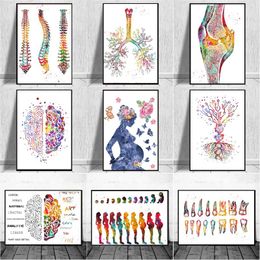 Schilderijen menselijke anatomie spieren systeem muur kunst canvas schilderij posters en print body map pictures education kliniek decor
