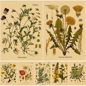 Peintures Plante Fleur Étude Rétro Affiche Botanique Impressions Affiches Kraft Papier Vintage Maison Salon Décor Esthétique Art Peinture Murale 230928