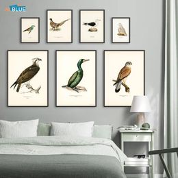 Pinturas Retro Birds Poster and Print Vertebrate Canvas Painting Cormorant Bird Wall Picture Realismo Art Mural Decoración para el hogar para la sala de estar