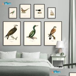 Schilderijen retro vogels poster en print gewervelde canvas schilderen schilderen aalscholte vogel muur foto realisme kunst muurschildering home decor voor livin dh5zn