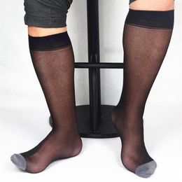 Paire de chaussettes en soie pour hommes, noir, or, bleu, larges rayures, bout transparent, haute, fine, respirante, Sexy, doux, Blazer, accessoire 277v