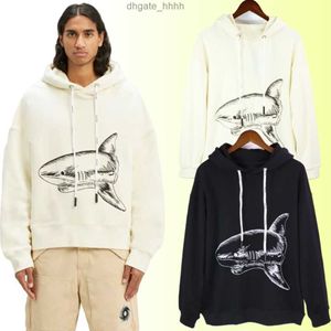 palm hoodies anges sweats à capuche designer hommes pull à capuche ours motif de requin marque top version 460g 100% coton à capuche en gros 2 prix 10% de réduction
