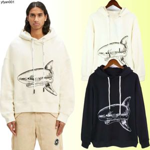 Palm Sweats à capuche Angels Sweats à capuche Designer Pull à capuche pour hommes Bear Shark Pattern Marque Top Version 100% Coton Sweat à capuche Prix de gros