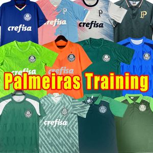 Palmeiras Soccer Jerseys 2023 2024 Shirts de football G.Menino Giovani R.Veiga Jersey 23 24 S-2xl Adulte Shirt Training Suits Dudu Rony G.Gomez Polo