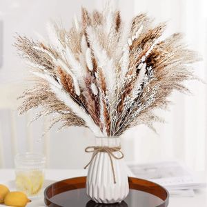 Pampas Grass Decor Boho Home Boeket Natuurlijke pluizige gedroogde bloemen voor bruiloft bloemstukken muur boerderij tafel december 231226