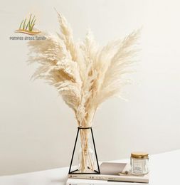 Decoración de hierba de pampa, color blanco, flores secas naturales esponjosas, ramo blanqueado, estilo bohemio vintage para boda, hogar, decoración navideña 26798539