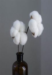 Pampas Grass Thinker Coton Fleur Fleur de coton séchée Ferme de fleurs naturellement artificielles Picks Natural Cotton Balls pas vase9629639