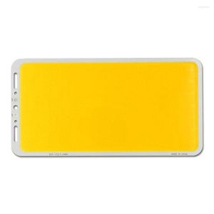 Panel de luz COB superbrillante de 24V y 12V para iluminación interior y exterior, lámpara impermeable de Color azul cálido y blanco frío