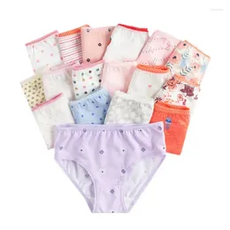 Culottes 12 pièces/paquet, sous-vêtements pour bébés filles, slips courts en coton pour enfants, caleçons pour enfants