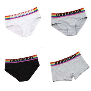 Slipje regenboog katoenen bokserslijsten voor dames trans -lesbische tomboy lgbt knickers ondergoed vrouwen lingerie