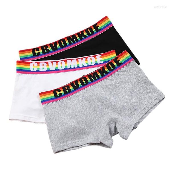 Boxer en coton arc-en-ciel pour femmes, culotte trans, lesbienne, Tomboy, LGBT, sous-vêtements, Lingerie pour femmes