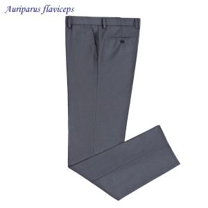 Pantalon Nouvel style d'été hommes laine mélange de costume gris pantalon commercial Business Robe Casual Robe Pantal