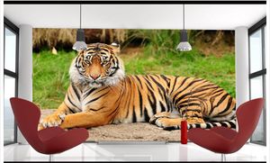 PAPEL DE PARED 3D Custom Foto Muurschildering Behang King Of Bos Dieren Noordoost-Tijger Crouching Tiger Hidden Dragon Mural Wall Home Decor