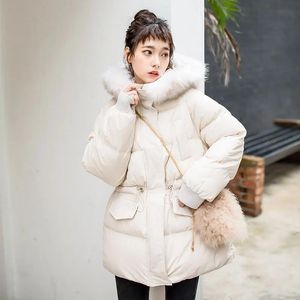 Parka's Winter katoenen jas dames nieuwe parka katoenen lange sectie grote bontkraag katoenen vrouwelijke Koreaanse winterjas