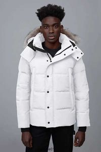 Parkas Hiver Down Parka Homme Jassen Chaquetas Manteaux Fourrure De Loup À Capuchon Fourrure Manteau Wyndham Canada Veste Manteau Hiver Doudoune