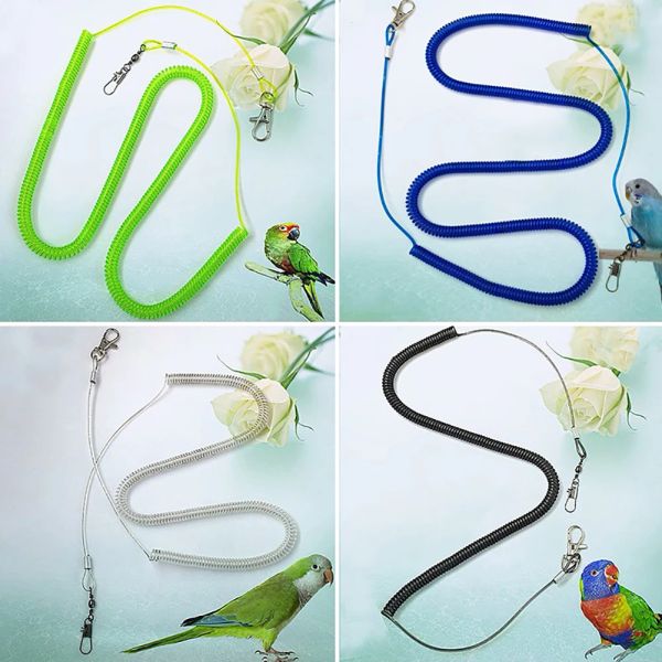 Perrot Bird Leash Flying Training Trawing Rope Rope