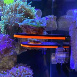 Onderdelen Aquarium Acryl Fluorescerend Koraal Groeiende Houder SPS Beugels Gereedschap Aquarium Coral Marine Reef Stand Tank Landschapsarchitectuur pecera