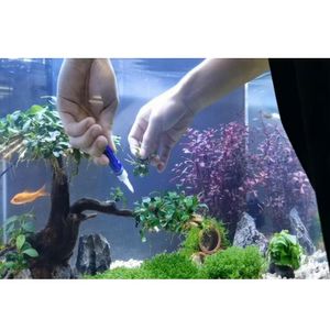 Pièces plantes aquatiques colle instantanée plantes vivantes bois mort mousse corail pierre aquarium peut entrer dans l'eau