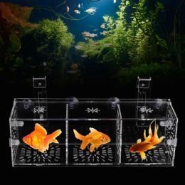 Pièces transparentes en acrylique pour Aquarium, boîte d'isolation pour élevage de poissons, support d'incubateur pour élevage de poissons