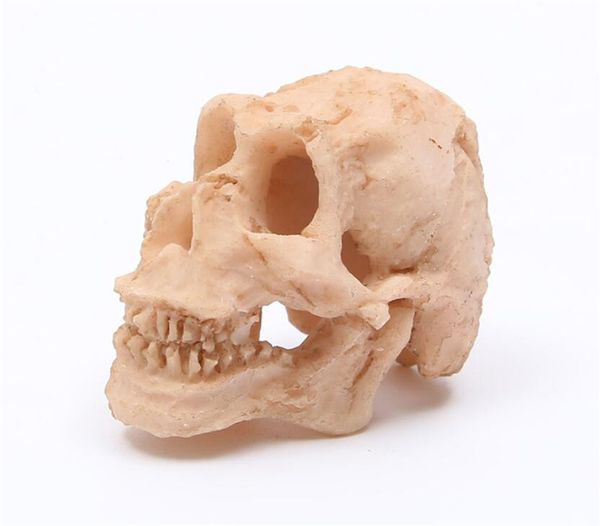 Décoration de fête 1,8 pouces tête de crâne en résine petit artisanat terrifiant squelette ornement Halloween farce accessoires faveurs jouets bricolage cadeau accessoire XB1