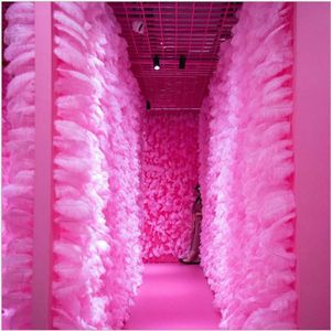 Décoration de fête 100pcs Pluches roses Plumes de mariage rouge Faveur d'anniversaire Backs de mur de plumes