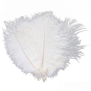 Feestdecoratie 10 stks witte struisvogel veerpluim 20-25 cm voor middelpunt decor aanbod feative drop levering home tuin feestelijke supp dhnqh