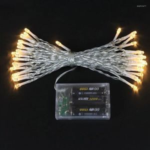 Feestdecoratie 2m 20 LED batterij bediende string Fairy Light Christmas Wedding Garden Yard Xmas Floral Vase Decor 5 Colors Optioneel