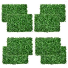 Décoration de fête 8 pièces Eucalyptus artificiel vert pelouse plante mur de fond mariage extérieur intérieur personnalisation