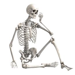Décoration de fête 90 cm Simulation Squelette Humain Ornement Halloween Bar Haunted House Props 220915