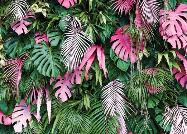 Party Decoration Jungle Green Faits Background Plants Tropical Plants Tell pour bébé Born Born Born Studio Accessoires