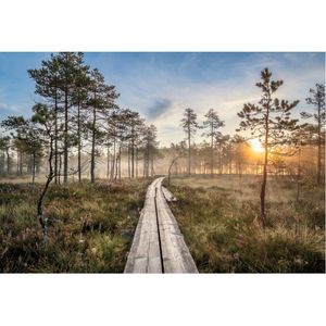 Feestdecoratie landschap achterdrop bos houtbrug zonsopgang achtergrond decor geboren bruiloft pography po booth studio props