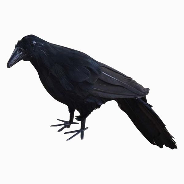 Décoration de fête réaliste corbeau noir à plumes corbeau Halloween accessoire de déguisement