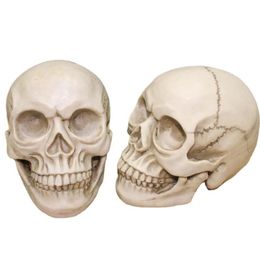 Partij Decoratie Skl Hoofd Halloween Enge Hars Realistische 11 Menselijk Anatomisch Onderwijs Skelet Model Horror Drop Levering Thuis Gard Dh4Cu