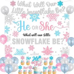 Party Decoration Winter Geslacht onthullen Wat zal onze kleine sneeuwvlok Banner Backdrop Cake Topper Pink en Blue Ballonnen zijn