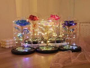 Fonction de fête LED Galaxy Enchanted Roses éternelles 24k Fleurs d'or en aluminium avec des feux de fée Lights en dôme pour Mère Valentine039 6873777