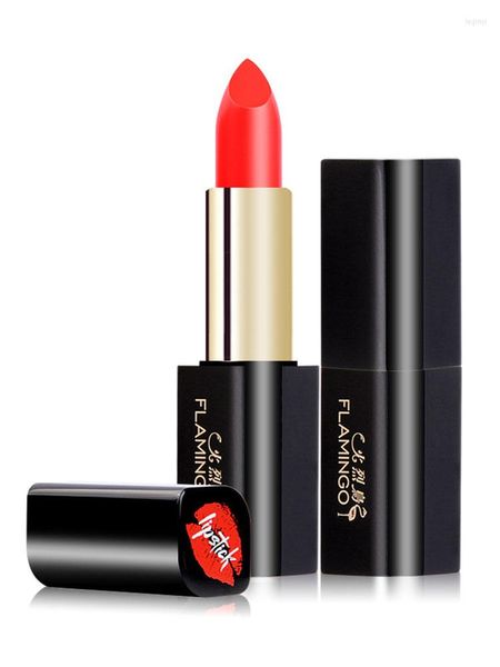 Party Favor Lipstick Impermeable Nutritivo Hidratante Larga duración Fadeless Vintage Tomate