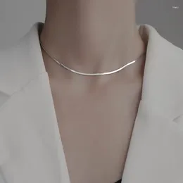 Feest gunst S925 Sterling Silver Flat Snake Bone Chain Fashion Necklace Choker Sieraden Gift voor vrouwen Verjaardagscadeaus Gasten Gunsten