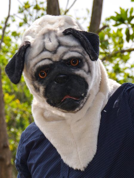 Masques de fête Halloween mascarade Costume belle carlin chien masque facial réaliste masque de tête d'animal 230313