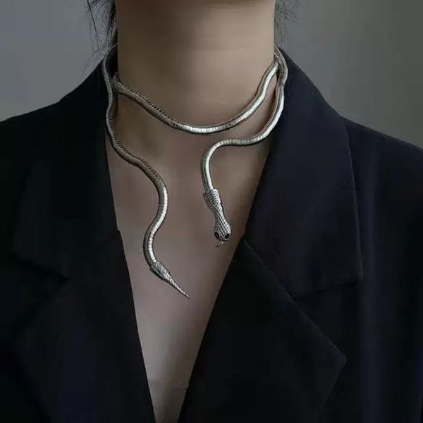 collier en forme de serpent enroulé de personnalité de petit groupe, style froid et cool, conception de petit groupe, fille épicée, collier noir foncé, femme et homme
