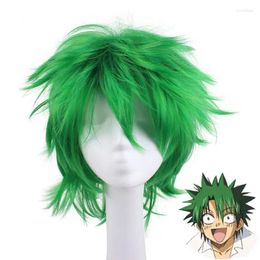 Perruque verte Kosuke pour hommes, fournitures de fête, Anime Law Of Ueki Cosplay, accessoires de cheveux pour Halloween et carnaval