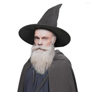 Frais de fête Gandalf Chapeau pour adulte mithrandir rétro gris couleur sorcier